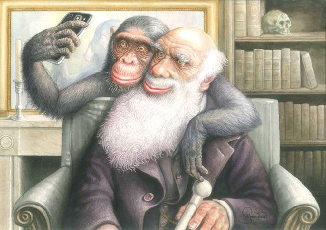 19-01/28/dogansergi2