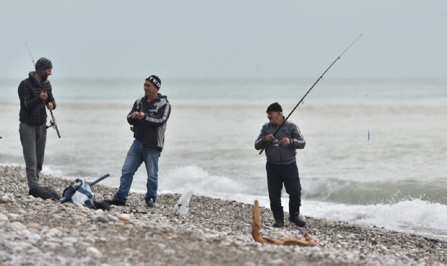 19-01/29/02-1548760845