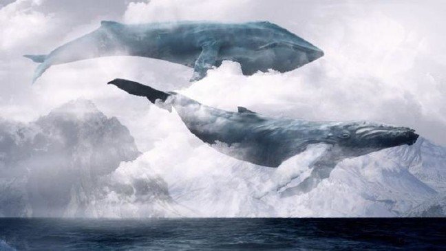 19-01/29/59be134a18c7732460b2f2ea