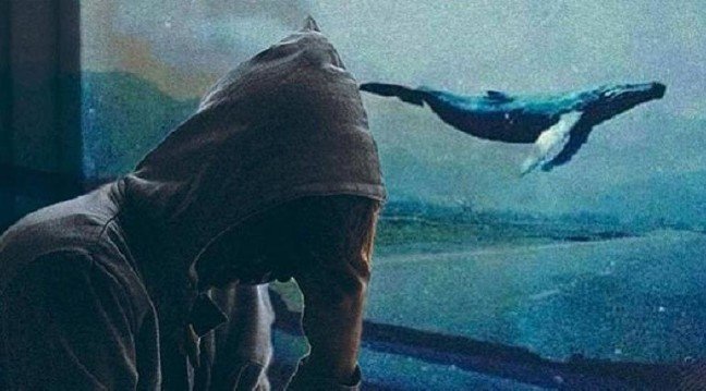 19-01/29/5a0e592ec03c0e205caa779e