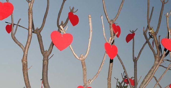 19-02/06/sevgililer-gunu-mesaji-1549440489