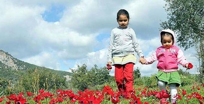 19-02/19/2019-cemreler