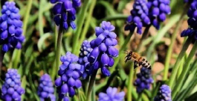 19-02/19/cemre-ne-demek