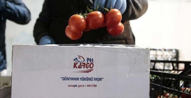 19-02/19/tanzim-satis-istanbul