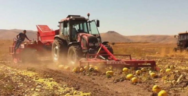 19-02/22/2019-cks-basvurusu