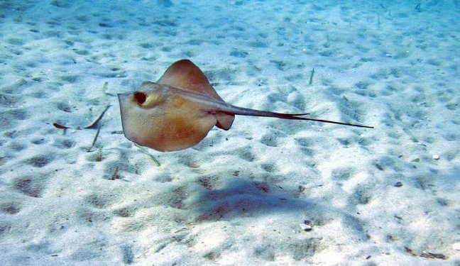 19-02/22/220220190926527345813