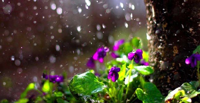 19-02/22/ikinci-cemre-ne-zaman-dusecek