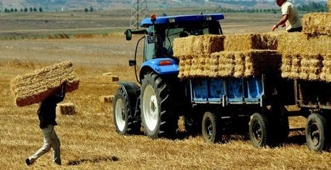 19-02/22/ks-kayit-2019