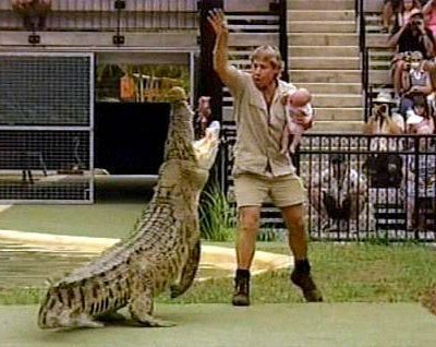 19-02/22/timsah-avcisi1