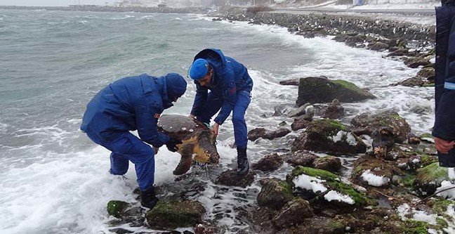 19-02/24/basliksiz-1-1550992681