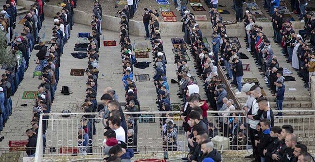 19-02/24/basliksiz-1-1550993841