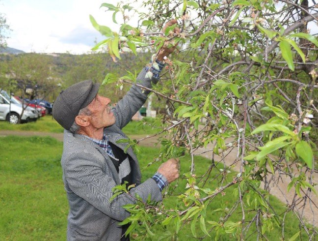 19-02/24/resimid_7539192