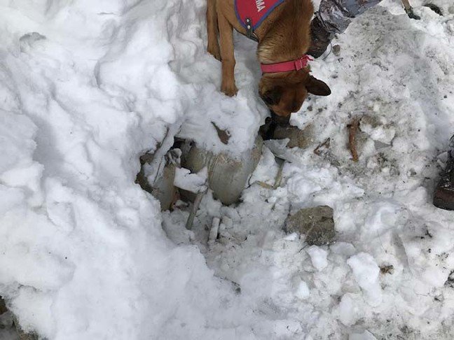 19-02/27/20190227_2_35151036_42065225