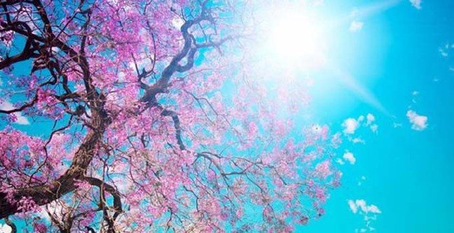 19-03/02/nevruz-tarihcesi