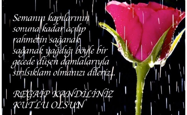 19-03/04/regaip-kandili-resimli-mesajlari-6