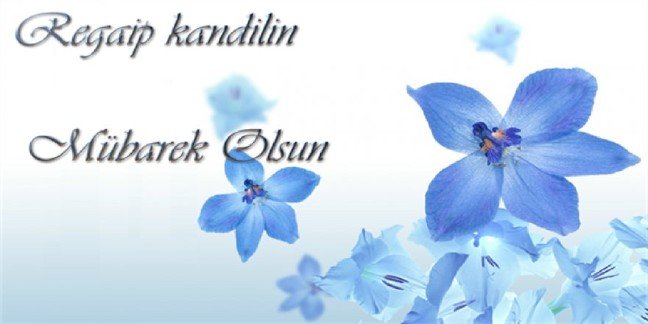 19-03/04/regaip-kandili-resimli-mesajlari-7