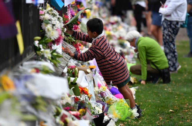 19-03/16/8fa48981-c2b4-47a8-bb67-a575d30b4007