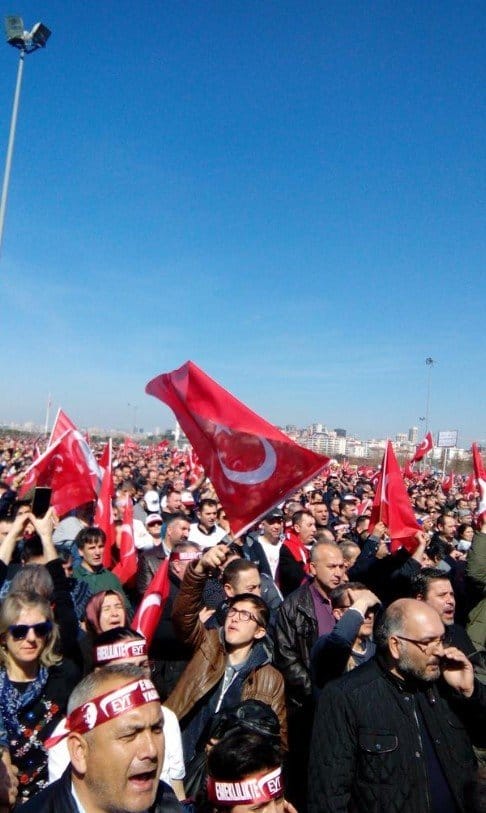 19-03/17/11-1552825618