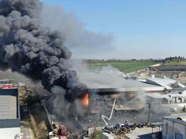 19-03/18/27c66525faf868741288150f6e02f4ee-1552901441