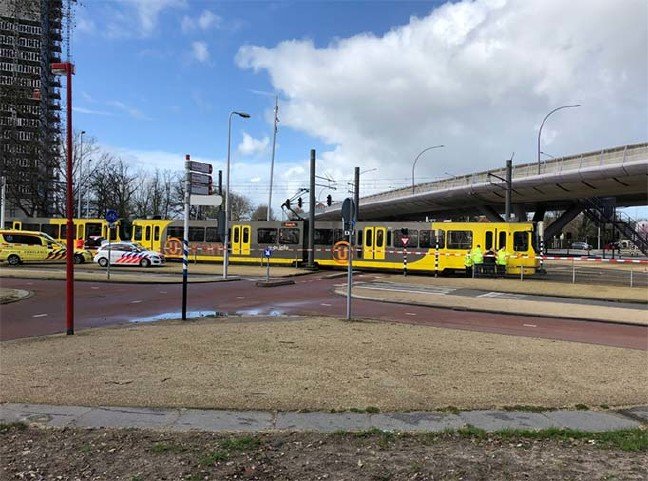 19-03/18/hollanda-1552909420