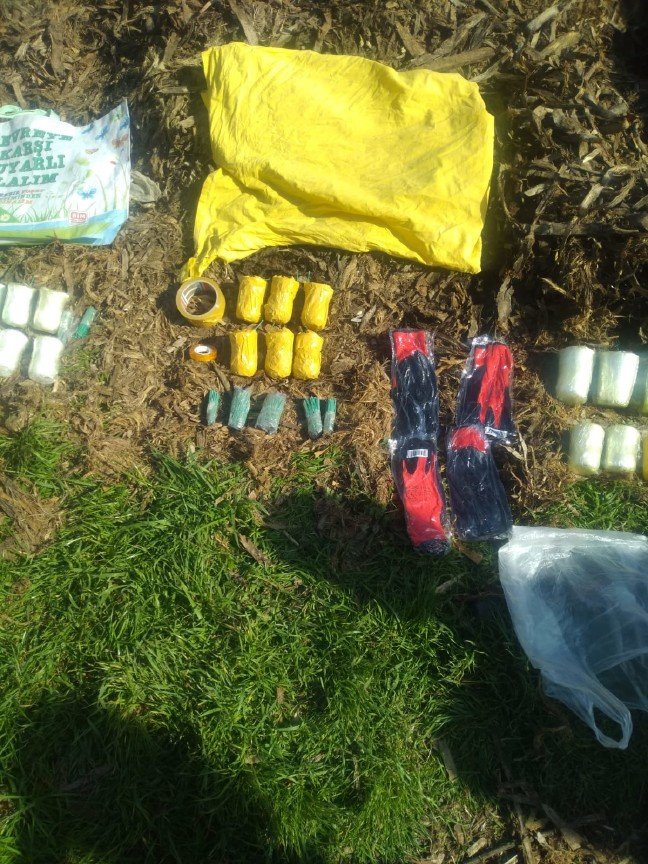 19-03/23/20190323_2_35597402_42907329