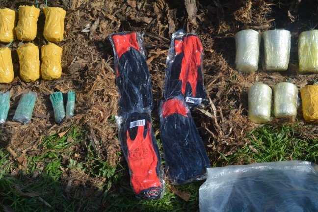 19-03/23/20190323_2_35597402_42907330