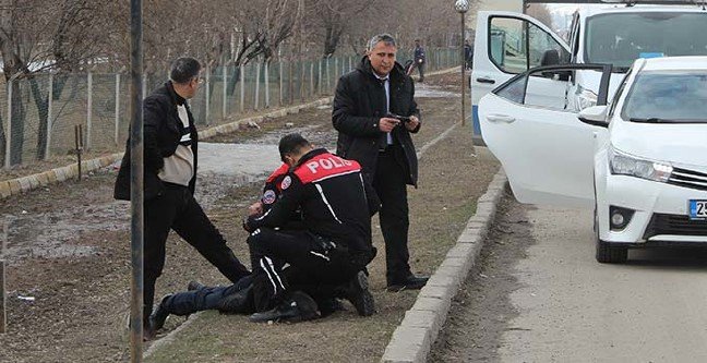 19-03/26/ana-manset-1553607336