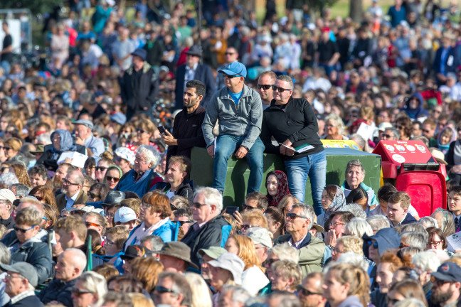 19-03/29/20190329_2_35705036_43068817