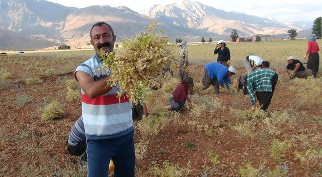 19-03/31/komunist-baskan-fatih-mehmet-macoglu-tunceli-11426307_2208_m