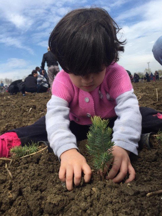 19-04/07/11-1554639725