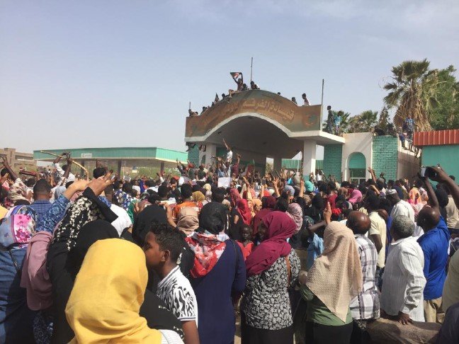 19-04/11/20190411_2_35928639_43463802