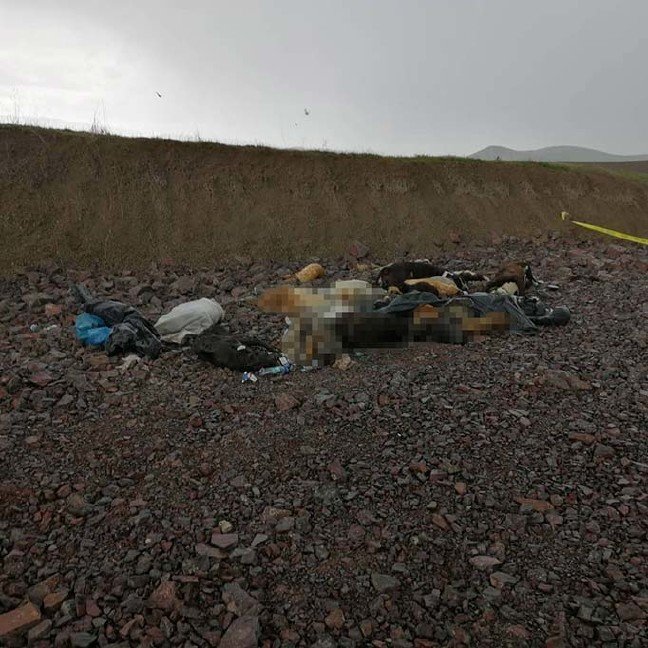 19-04/13/20190413_2_35969841_43534700