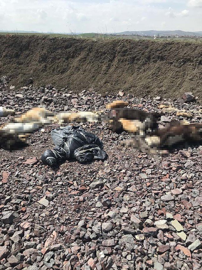 19-04/13/20190413_2_35969841_43534705