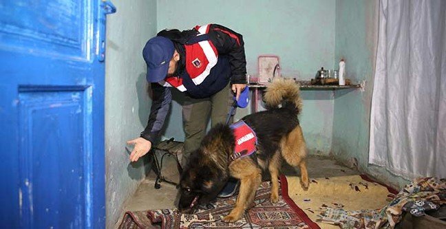 19-04/16/basliksiz-1-1555393709