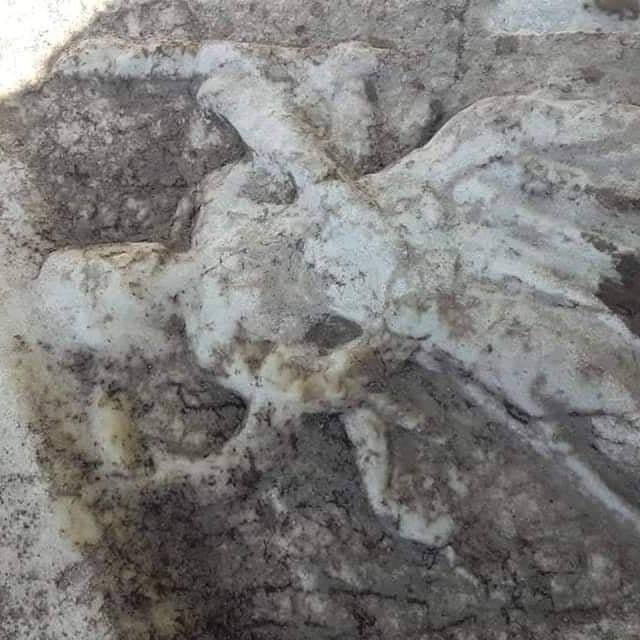 19-04/22/aw682442_01