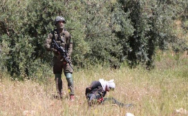 19-04/24/filistin-1556111606