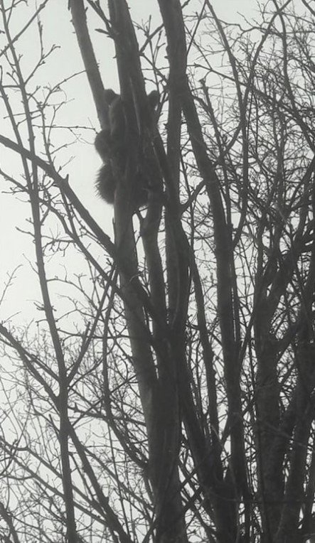 19-04/24/screenshot_3