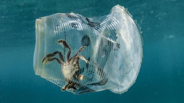 19-04/25/_106556703_filipinlerdeplastikkirlilii