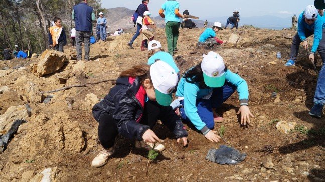 19-04/27/85865207-9b2d-4d65-a7e1-98a2fd151409