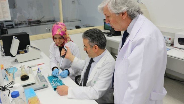 19-04/30/2446516_810x458