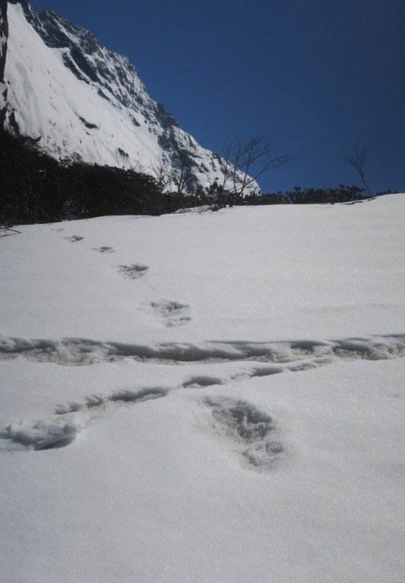 19-04/30/screenshot_8