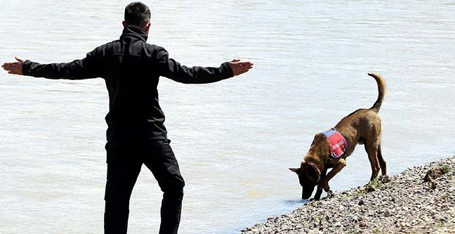 19-05/02/ana-manset-1556791554