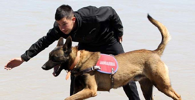 19-05/02/ana-manset-1556791572