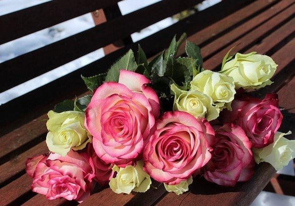 19-05/03/en-guzel-hediye-anne-siiri