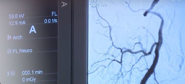 19-05/05/fad35ff4gkvmolc