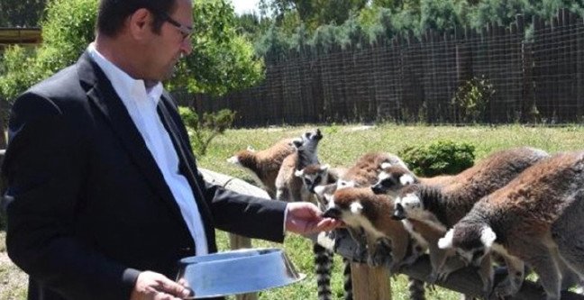 19-05/23/lemur-nedir-ozellikleri