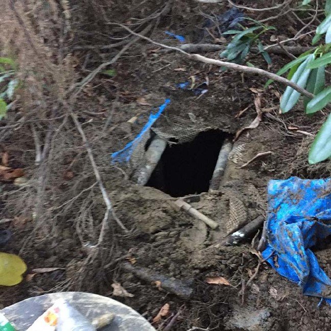 19-05/24/ormanda-ac-kalinca-yakalanan-terorist-kendini-doga-gezgini-olarak-tanitmis-3-_8496_dhaphoto2