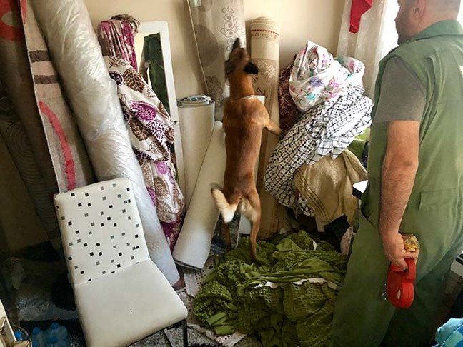 19-05/27/aw714207_11