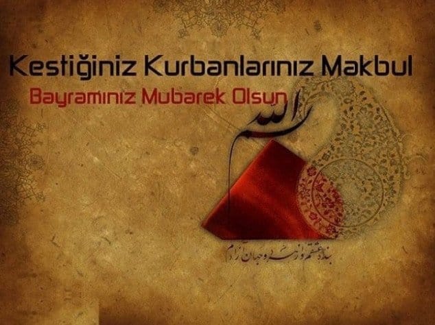 19-06/03/4-1559544179