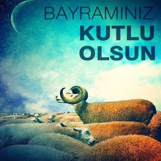 19-06/03/5-1559544185